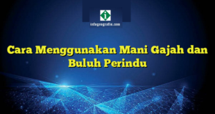 Cara Menggunakan Mani Gajah dan Buluh Perindu