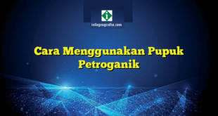 Cara Menggunakan Pupuk Petroganik