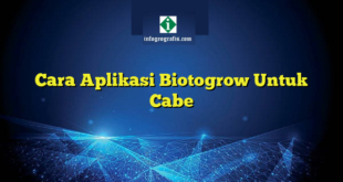 Cara Aplikasi Biotogrow Untuk Cabe