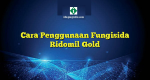 Cara Penggunaan Fungisida Ridomil Gold