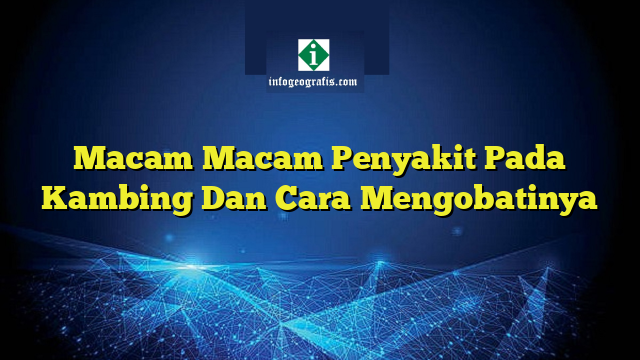 Macam Macam Penyakit Pada Kambing Dan Cara Mengobatinya | Info Geografis