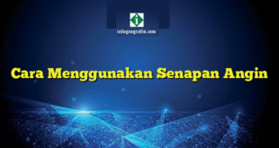 Cara Menggunakan Senapan Angin